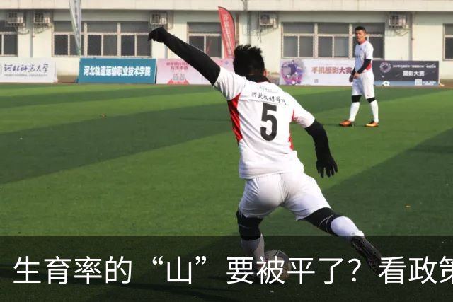 生育率的“山”要被平了？看政策如何翻转局面